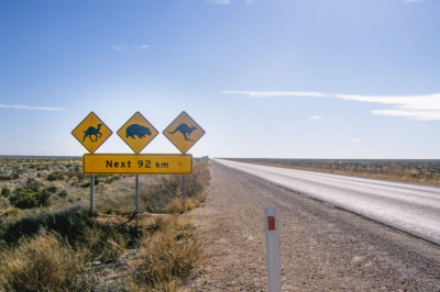 Three yellow warning signs along a highway depicting a camel, wombat and kangaroo.